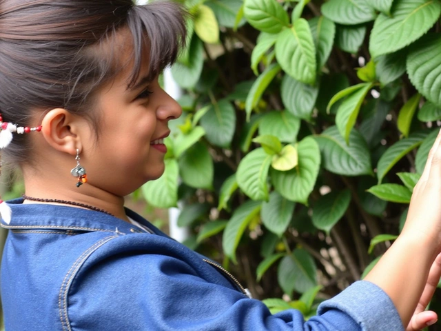 Praça “O Futuro é Ancestral” celebra arte indígena Guarani-Ñandeva em Florianópolis com fontes culturais